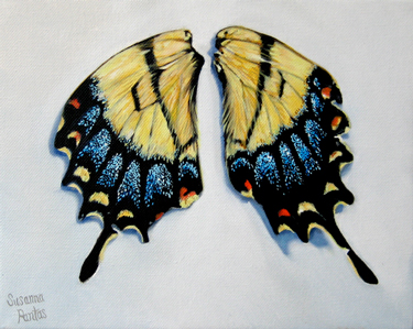 Contemplations II gallery by Susanna Pantas